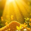 Thames Organic Certified Organic Fenugreek Powder | Nutty Sweet Flavor