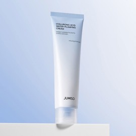 Hyaluronic Acid Water Plumping Moisture Cream 100ml / 히알루론산 워터 플럼핑 수분 크림 100ml