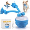 The Chase Buddy Dog Boredom Stimulating Toy 2025 Smart Pet
