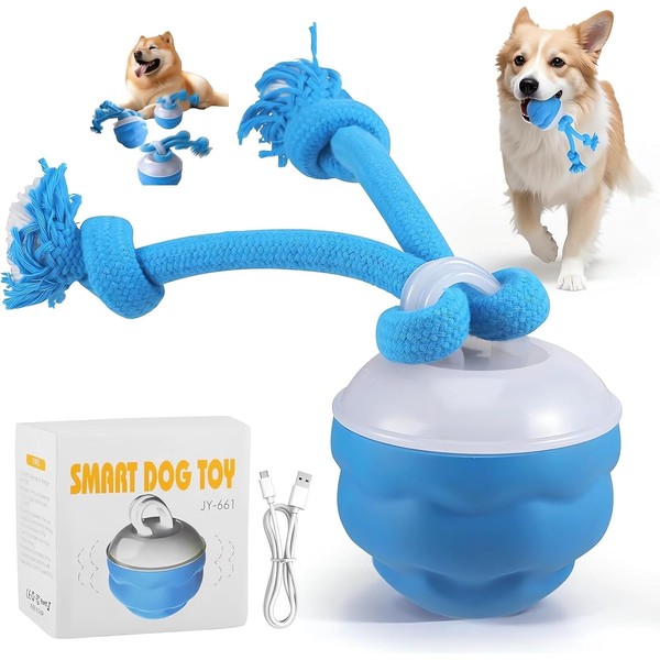 The Chase Buddy Dog Boredom Stimulating Toy 2025 Smart Pet