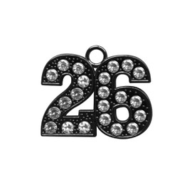 Endea Graduation Tassel Black Bling Charm Date Drop Year (2026, Black)