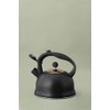 Typhoon Otto Black Stovetop Whistling Kettle 1.8 Litre