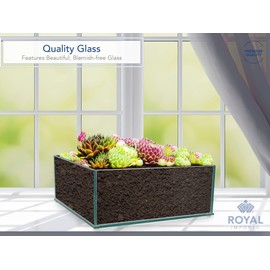 Royal Imports Flower Glass Vase Decorative Centerpiece for Home or Wedding Low Square Plate Glass, 10"x10"x4"(H)