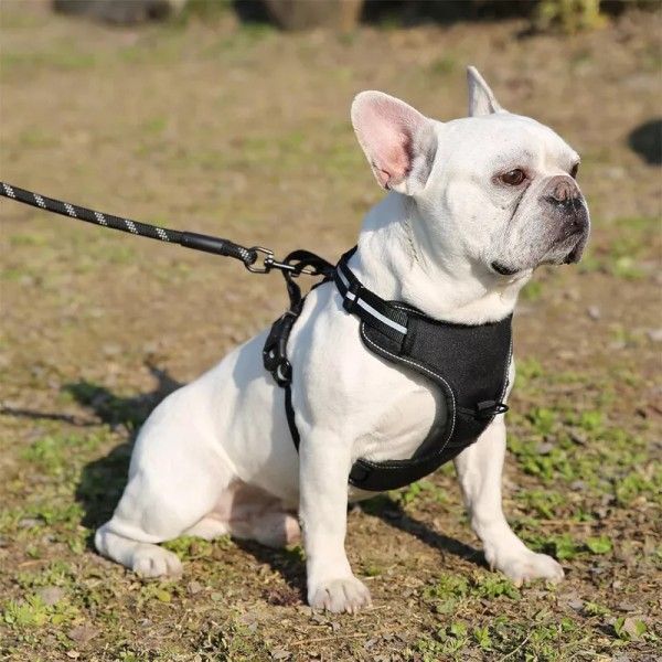 Unbranded No Pull Dog Pet Harness Adjustable Control Vest Dogs