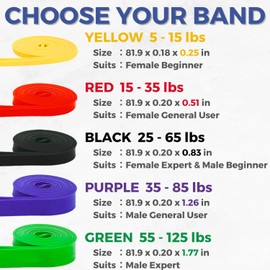 LEZER Resistance Band, Pull Up Bands, Exercise Bands, Workout Bands, Elastic Bands, Home Gym Fitness, Stretching, Physical Therapy, Training, Yoga, with Instruction, 25-65 lbs, Black