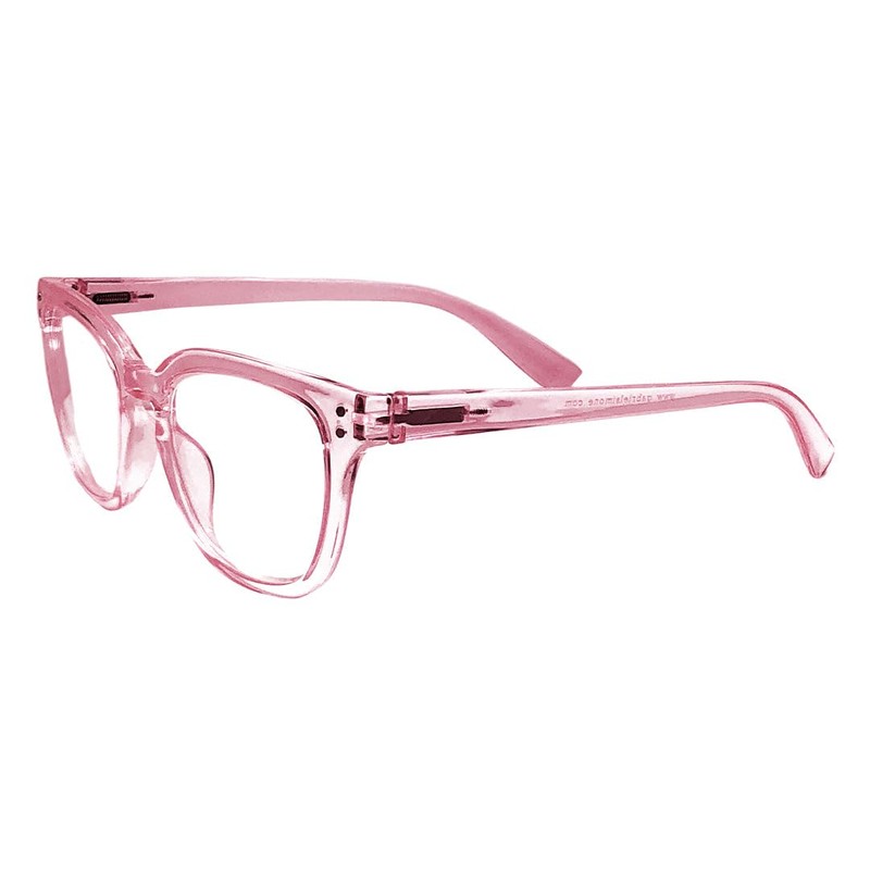 Gabriel + Simone Dani Tortoise/Blue-Light Readers / 2.50