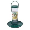 Supa Mealworm Feeder | Keeps mealworms dry until the birds
