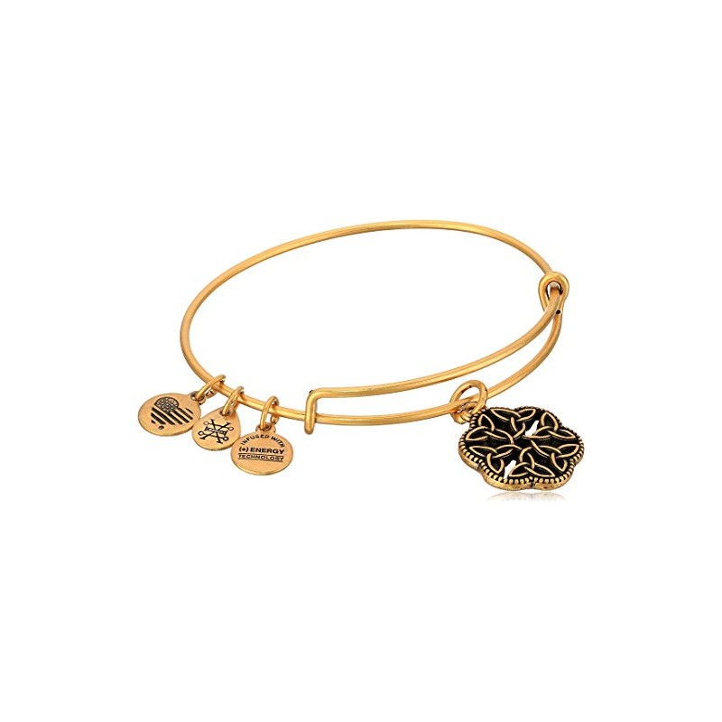 Alex and Ani Endless Knot III Rafaelian Gold Bangle Bracelet