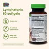 Herbs Etc. Lymphatonic Softgels - Lymph System Support - Support