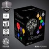 LEDimagine Fairy String Light Bulb, LED Globe Light Pendant, RGB