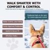 Slip Lead Dog Leash – Strong Nylon Training Rope with