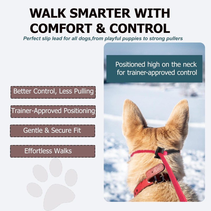 Slip Lead Dog Leash – Strong Nylon Training Rope with