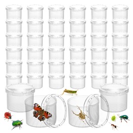ZENFUN 40 Packs Bug Viewer Critter, Insect Cage Magnifying Insect Box, Bug Magnifier Container Bug Catcher Cage Insert Bug Viewer, Science Nature Exploration Tool