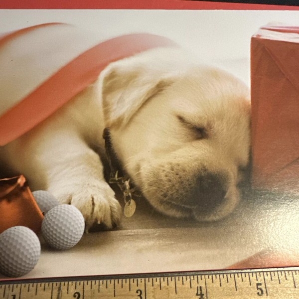 Vtg Christmas Card UNUSED Labrador Retriever Puppy Sleeping Golf Balls