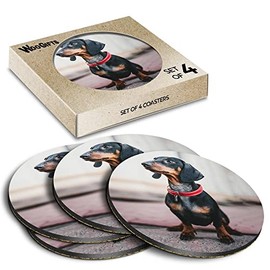 4 x Round Coasters - Dachshund Dog Black Red Collar Cork Backed MDF Glossy Tea Coffee Accessory #63077