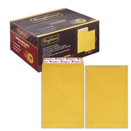 Bonfasvo 300 Pack 9x12 Brown Catalog Envelopes Peel & Seal Security Mailing Envelopes 120GSM Kraft Paper self Seal Envelopes for Invitations Papers Photos Documents Pictures Papers Files