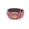Unique American Bully GOLD Heavy Duty 2.5 inch Wide Leather