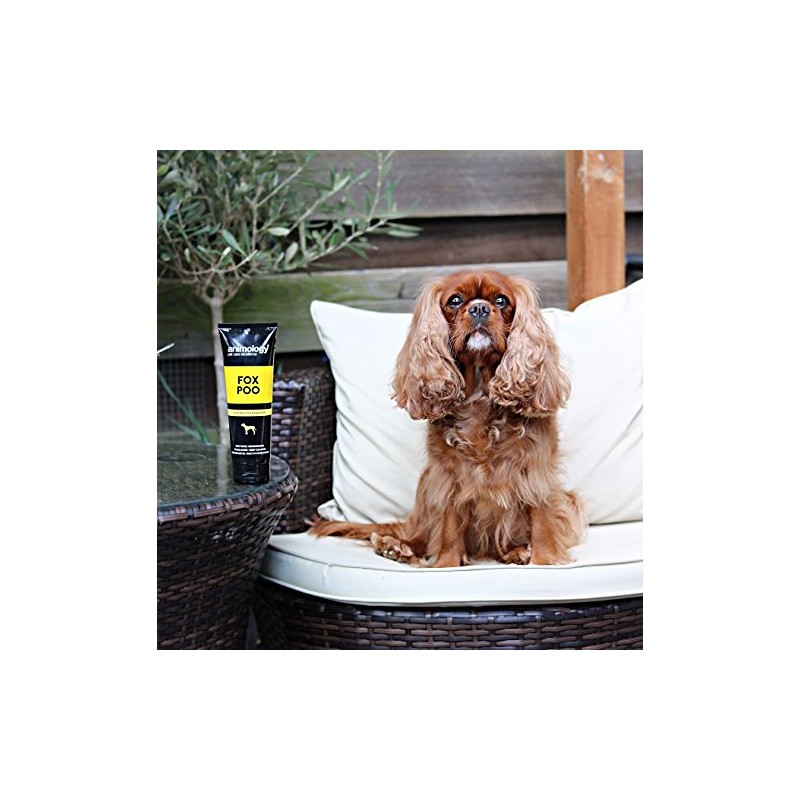 Animology Fox Poo Deodorising Dog Shampoo, Twin Pack, 250ml