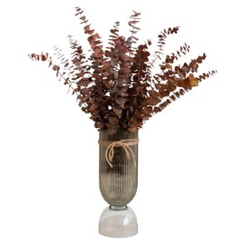 Eucalyptus Leaves/Stems, Natural - Dried - Perserved Eucalyptus, Real Plant, for Wedding, Home Decor, DIY, Total of 25 Pieces (Orange)