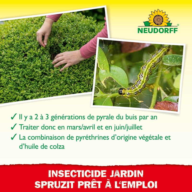 Pyrale du buis Neudorff 100 ml