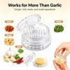 Clear Manual Garlic Twister and Ginger Mincer – Effortlessly Crush