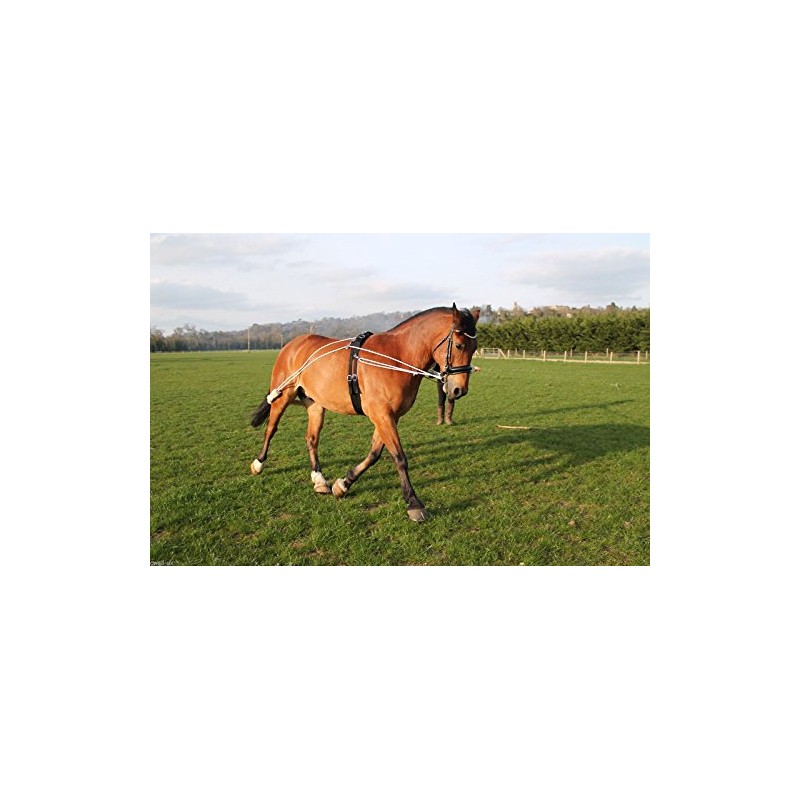 Cwell Equine NEW Horse Lunging Training Aid white one size