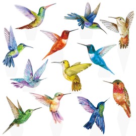 48pcs Hummingbird Cupcake Toppers - Tropical Bird Decorations for Summer & Baby Showers