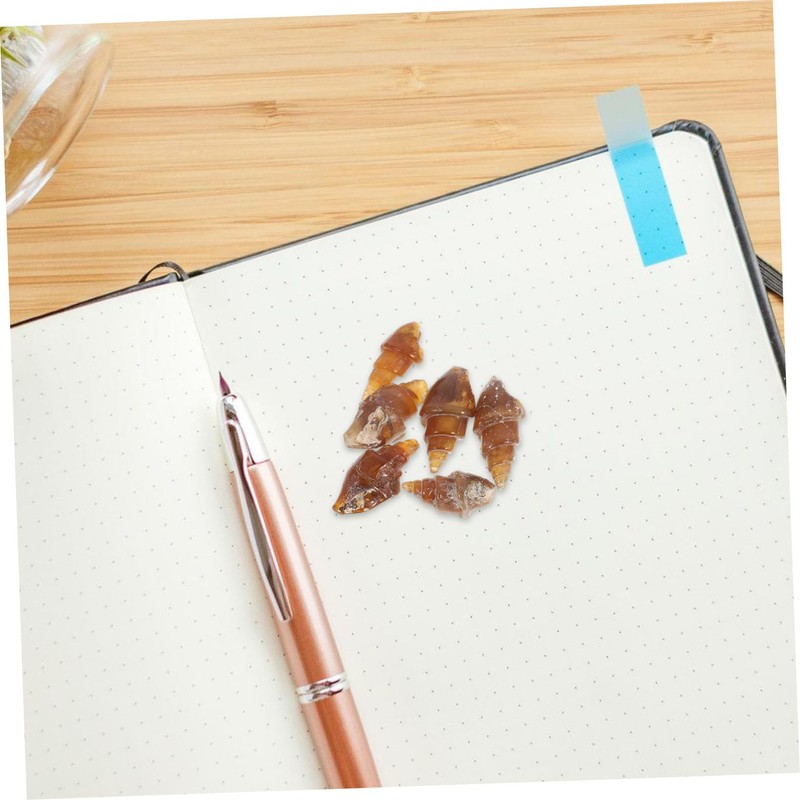BESPORTBLE Educational Specimen Model 6 Pack Agate Snail Ancient Specimen