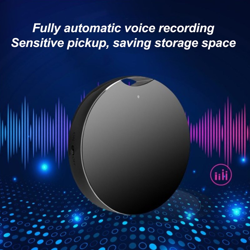 Magnetic Voice Recorder DSP Noise Reduction Long Recording Time Timestamp