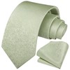 HISDERN Men's Tie Handkerchief Plain Tie & Pocket Square Set