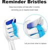Replacement brush Heads for are Electric Brush Head 10 Pack