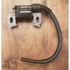 DXParts Genuine Ignition Module Coil Assy GX160 GX200 30500-Z0T-003,Replacement for