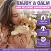 Cat Pheromones Calming Diffuser Refill 6 Pack Multicat Pheromone Diffusers
