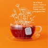 Good Earth Tea Sweet & Spicy Organic Caffeine Free Herbal