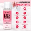 Lash Shampoo Concentrate 100 ml/3.4 fl.oz Lash Cleanser Concentrate Oil