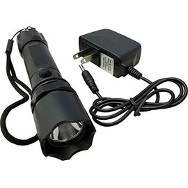 SCOE 10X - Rechargeable UV Blacklight - Urine Inspection - Pet, Dog, Cat, Urine