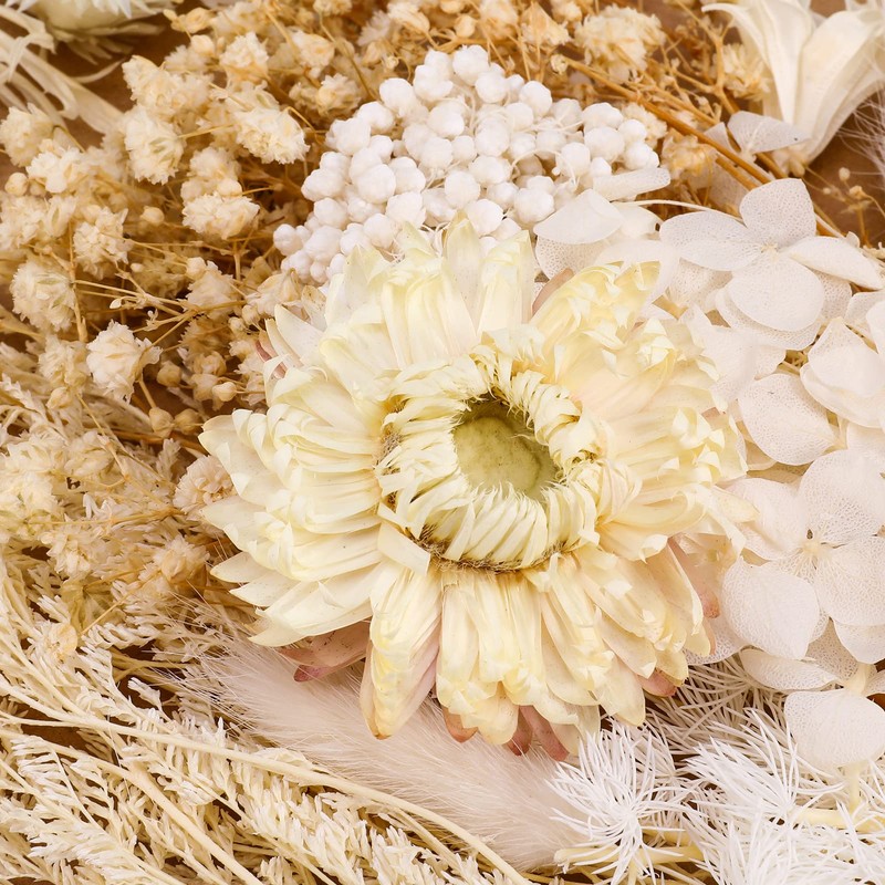 AhlsenL Real Dried Flowers, Natural Dried Flowers Mixed, Hydrangeas, Daisies,