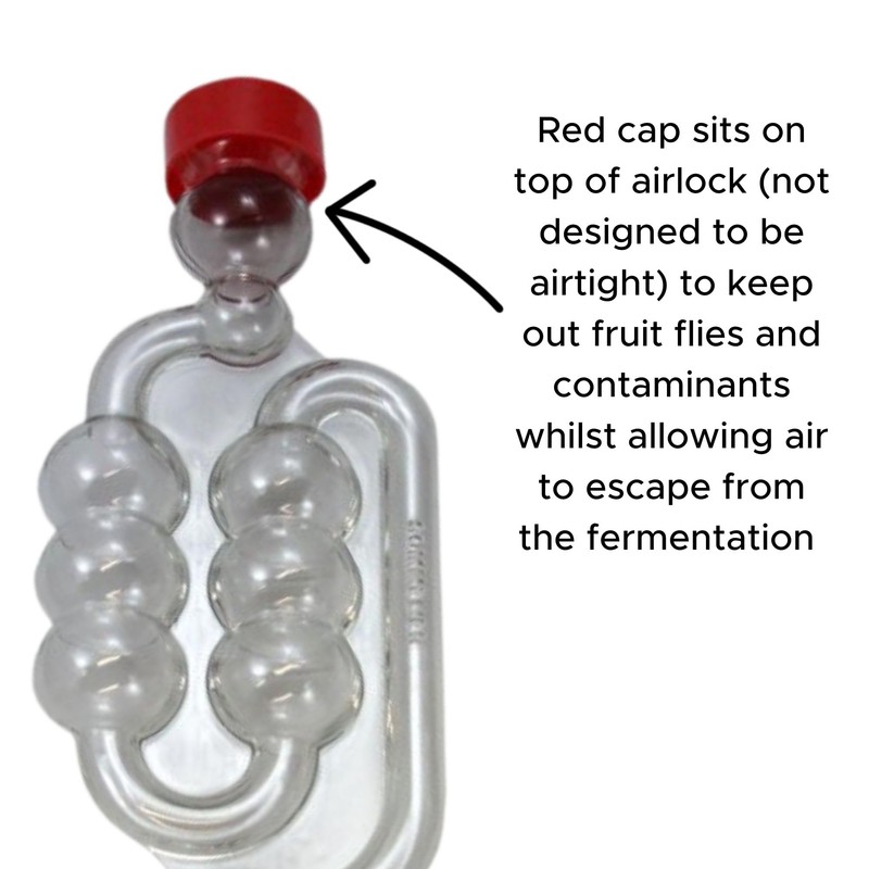 5X Fermentation Bubbler Airlocks, 5 Bored Rubber Bungs and 5