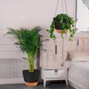 GARDIFE Large Hanging Planter, 12 inch Hanging planters for Indoor.