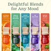Lifelines Lifelines Essential Oil Blends, 4-Pack - Blended Essential Oils