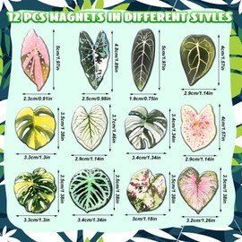 Sabary 30 Pcs Leaf Shaped Fridge Magnets Decorative Tropical Leaves Refrigerator Magnets for Kitchen Office Locker Home Decor, 3D Monstera Leaf Gifts for Plant Lovers