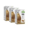 MEILAB Permanent Hair Colour without Ammonia - Pack of 3