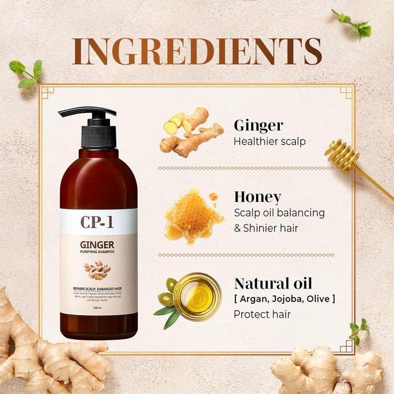 CP-1 GINGER PURIFYING SHAMPOO, Recovery Strengthening care, Scalp care, 16.9