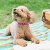 azuza Reflective Dog Collar, Soft Chloroprene Rubber Filled Pet Collar