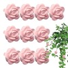 Plant Clips For Climbing Plants | 10X Flower-Shaped Invisible Wall