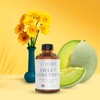Levona Scent Essential Oil - Fresh Aroma for Home, Office,