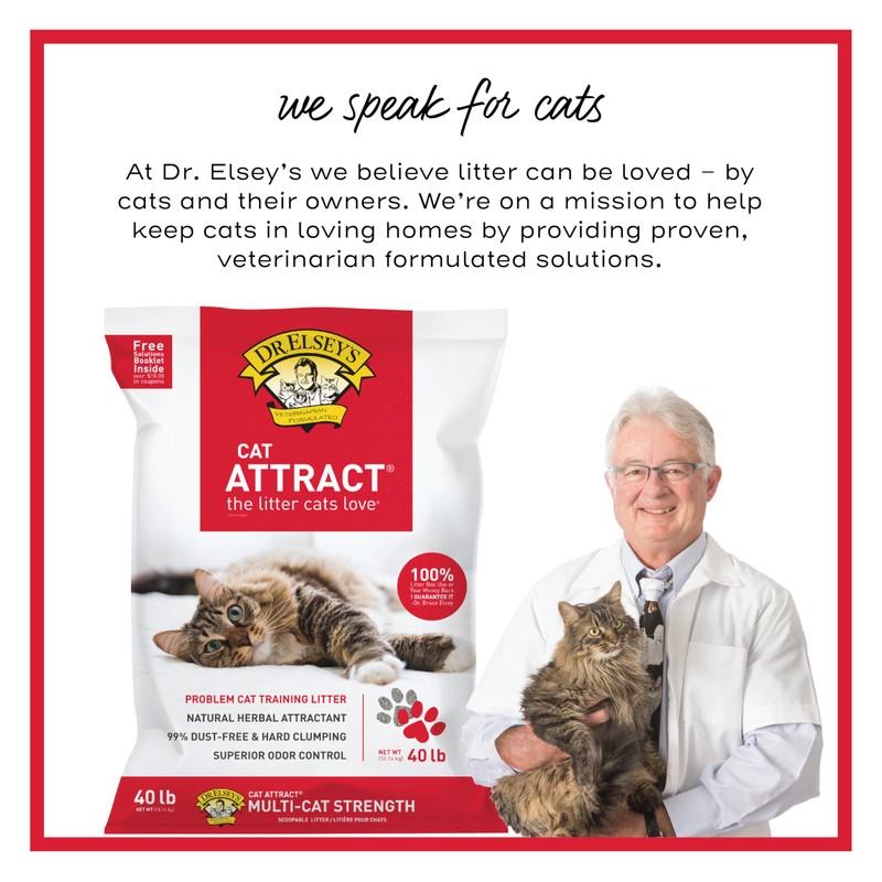 Dr. Elsey's Premium Clumping Cat Litter - Cat Attract -
