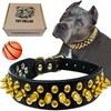 TEEMERRYCA Leather Dog Collar with Gold Spikes for Small Medium