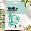 Snail Mask Pack Aloe Hyaluronic Acid Collagen Mask Pack 10 Pieces Cha Skin Skin Moisturizing / 스네일마스크팩 알로에 히알루론산 콜라겐 마스크팩 10개 차스킨 피부보습