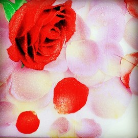 Salome Idea 60 Pack 6.5 x 6.5 Inches Floral Paper Napkins for Dinner Wedding Birthday Party Bridal Anniversary Reception Event (Romatic Floral 18)